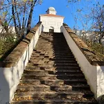 Domenica 404 Mikulov